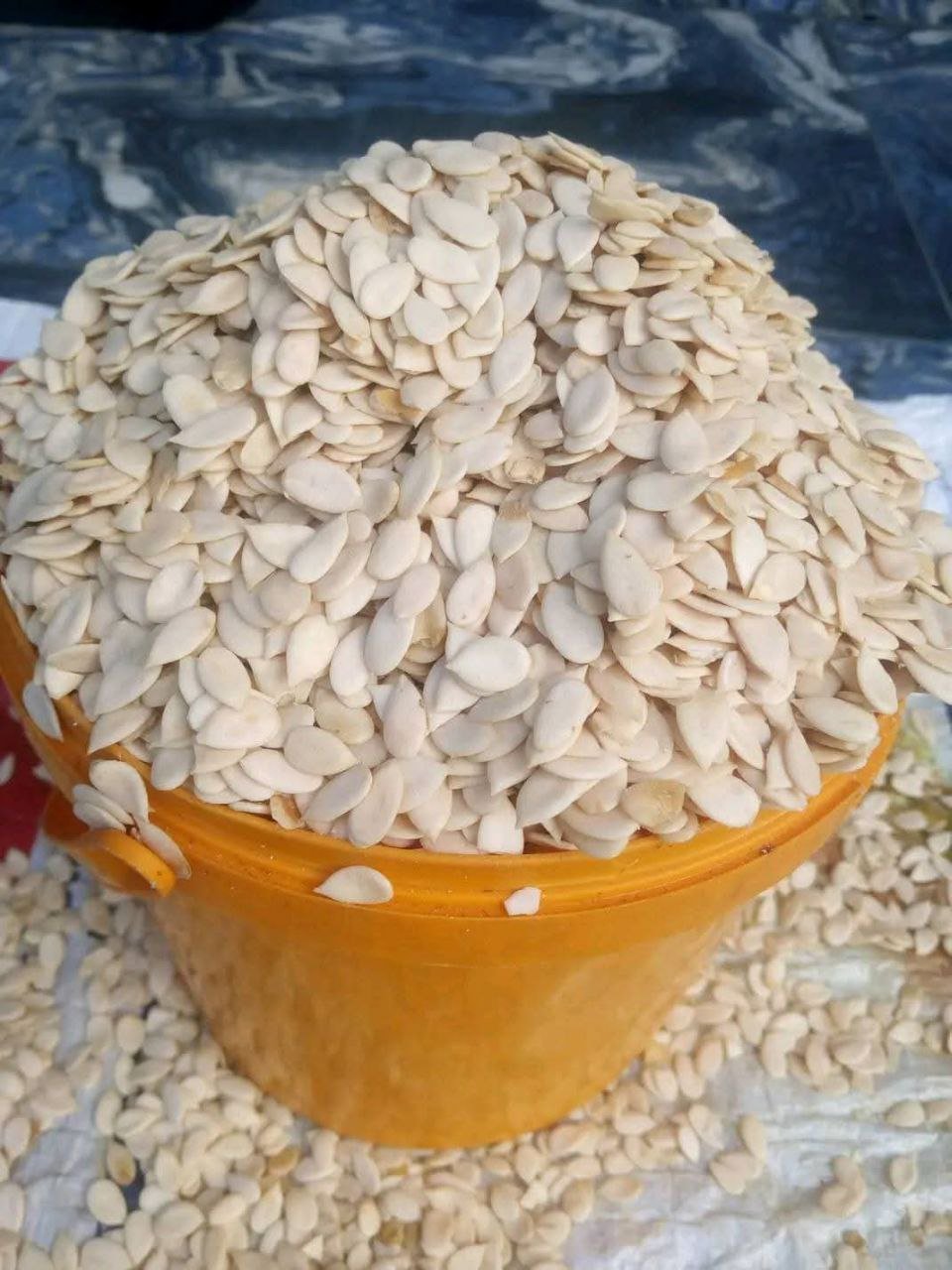 auto draft auto draft