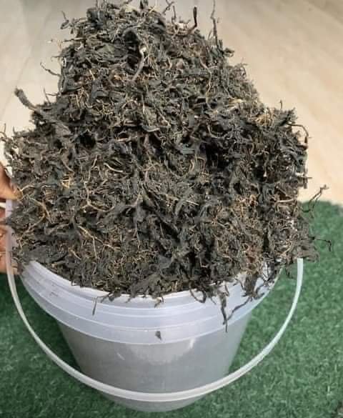 auto draft auto draft