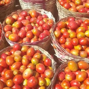 Home basket of tomoatoes